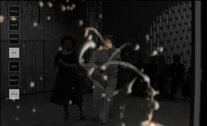 Experience Visuelle (2011)